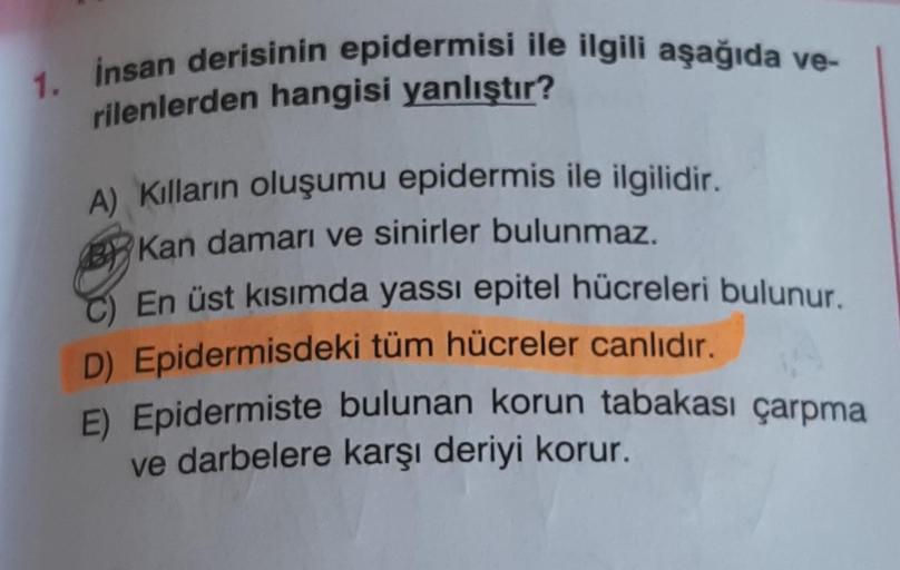 1.
insan derisinin epidermisi ile ilgili aşağıda ve-
rilenlerden hangisi yanlıştır?
A) Kılların oluşumu epidermis ile ilgilidir.
Kan damarı ve sinirler bulunmaz.
C) En üst kısımda yassı epitel hücreleri bulunur.
D) Epidermisdeki tüm hücreler canlıdır.
E) E