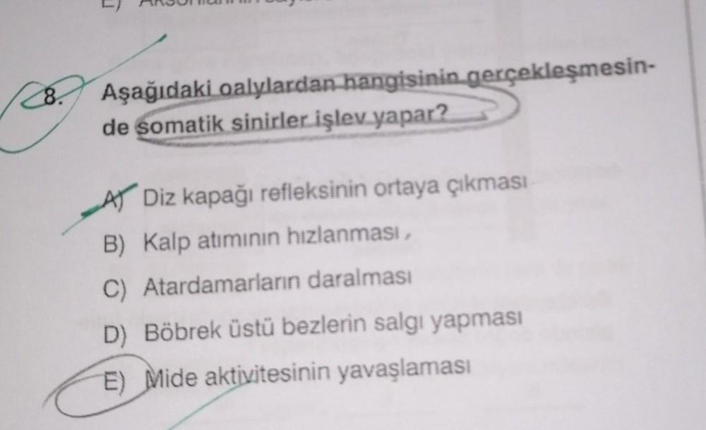 C8.
Aşağıdaki oalylardan hangisinin gerçekleşmesin-
de somatik sinirler işlev yapar?
A Diz kapağı refleksinin ortaya çıkması
B) Kalp atımının hızlanması,
C) Atardamarların daralması
D) Böbrek üstü bezlerin salgı yapması
E) Mide aktivitesinin yavaşlaması