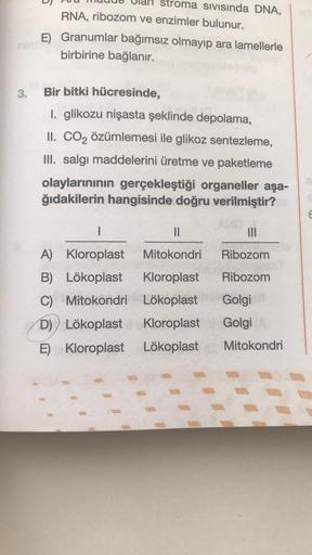 3.
stroma sıvısında DNA,
RNA, ribozom ve enzimler bulunur.
E) Granumlar bağımsız olmayıp ara lamellerle
birbirine bağlanır.
Bir bitki hücresinde,
1. glikozu nişasta şeklinde depolama,
II. CO₂ özümlemesi ile glikoz sentezleme,
III. salgı maddelerini üretme