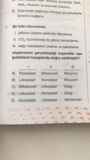 3.
stroma sıvısında DNA,
RNA, ribozom ve enzimler bulunur.
E) Granumlar bağımsız olmayıp ara lamellerle
birbirine bağlanır.
Bir bitki hücresinde,
1. glikozu nişasta şeklinde depolama,
II. CO₂ özümlemesi ile glikoz sentezleme,
III. salgı maddelerini üretme 