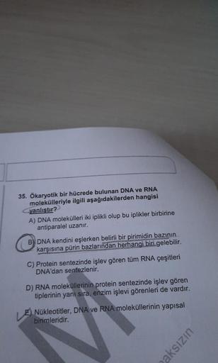 35. Ökaryotik bir hücrede bulunan DNA ve RNA
molekülleriyle ilgili aşağıdakilerden hangisi
yanlıştır?
A) DNA molekülleri iki iplikli olup bu iplikler birbirine
antiparalel uzanır.
B DNA kendini eşlerken belirli bir pirimidin bazının
karşısına pürin bazları