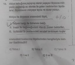 10. Midye kabuğuna yapışmış olarak yaşayan Bryozoa mid-
yenin sağladığı su akıntısı lle gelen besinlerden fayda-
lanır. Bryozoanın midyeye fayda ve zararı yoktur.
+/0
Midye lle Bryozoa arasındaki ilişki,
köpek balığı ile Echeneis balığı,
Ik insan ile bağırsağındaki vitamin üreten bakteriler,
III. buffalolar ile postlarındaki keneleri temizleyen kuşlar
arasındakl beslenme ilişkilerinden hangileriyle ben-
zer özelliktedir?
A) Yalnız 1
D) I ve Il
B) Yalnız II
E) Il ve Ill
C) Yalnız III
2₁