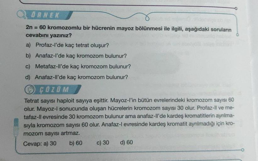 QÖRNEK
2n = 60 kromozomlu bir hücrenin mayoz bölünmesi ile ilgili, aşağıdaki soruların
cevabını yazınız?
a) Profaz-l'de kaç tetrat oluşur?
b) Anafaz-l'de kaç kromozom bulunur?
c) Metafaz-ll'de kaç kromozom bulunur?
d) Anafaz-ll'de kaç kromozom bulunur?
ÇÖZ