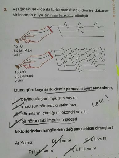 3. Aşağıdaki şekilde iki farklı sıcaklıktaki demire dokunan
bir insanda duyu sinirinin tepkisi verilmiştir.
Lobe
45 °C
sıcaklıktaki
cisim
She
100 °C
sıcaklıktaki
cisim
Buna göre beynin iki demir parçasını ayırt etmesinde,
1. beyine ulaşan impulsun sayısı,
