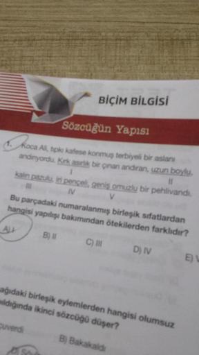 Sözcüğün Yapısı
Koca Ali, tipki kafese konmuş terbiyeli bir aslanı
andinyordu. Kırk asırlık bir çinan andiran, uzun boylu,
kalın pazulu, iri pençeli, geniş omuzlu bir pehlivandi.
11
M
IV
V
ALL
BİÇİM BİLGİSİ
Bu parçadaki numaralanmış birleşik sıfatlardan
ha