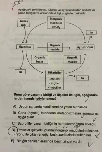 SOR
1. Aşağıdaki şekil üretici, tüketici ve ayrıştırıcılardan oluşan ya-
şama birliğini ve aralarındaki ilişkiyi göstermektedir.
Güneş
ışığı
Üreticiler
Isı
Organik
besin
Inorganik
maddeler
ve CO₂
Organik
madde
Tüketiciler
• otçullar
.etçiller
• hepçiller
A