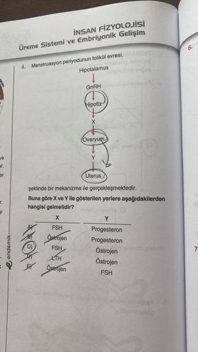 ve
ur.
er
r.
SI
endemik-
İNSAN FİZYOLOJİSİ
Üreme Sistemi ve Embriyonik Gelişim
4. Menstruasyon periyodunun folikül evresi,
Hipotalamus
4
melingy
GnRH
X
FSH
Östrojen
FSH
LTH
Östrojen
Hipofiz
X
(Ovaryum
eleög inimigi
unbob
Uterus
şeklinde bir mekanizma ile g