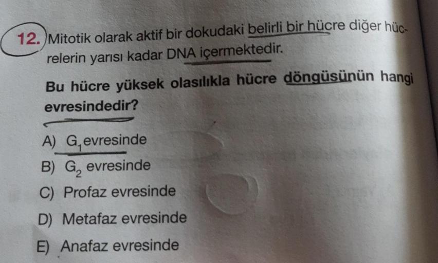 12. Mitotik olarak aktif bir dokudaki belirli bir hücre diğer hüc-
relerin yarısı kadar DNA içermektedir.
Bu hücre yüksek olasılıkla hücre döngüsünün hangi
evresindedir?
A) Gevresinde
B) G₂ evresinde
C) Profaz evresinde
D) Metafaz evresinde
E) Anafaz evres