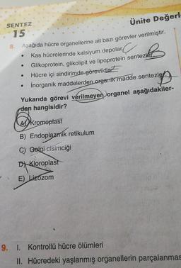 SENTEZ
15
8. Aşağıda hücre organellerine ait bazı görevler verilmiştir.
Kas hücrelerinde kalsiyum depolar
azkać
Glikoprotein, glikolipit ve lipoprotein sentezler.
Hücre içi sindirimde görevlidir
●
●
Ünite Değerl
İnorganik maddelerden organik madde sentezle
ZA
Yukarıda görevi verilmeyen organel aşağıdakiler-
den hangisidir?
Akromoplast
B) Endoplazmik retikulum
C) Golgi cisimciği
DN
D Kloroplast
E) Lizozom
9. 1. Kontrollü hücre ölümleri
II. Hücredeki yaşlanmış organellerin parçalanmas