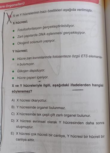 cre Organelleri)
Xxx
.X ve Y hücrelerinin bazı özellikleri aşağıda verilmiştir.
x hücresi;
• Fotofosforilasyon gerçekleştirilebiliyor.
• Zarlı yapılarda DNA eşlenmesi gerçekleşiyor.
• Oksijenli solunum yapıyor.
Y hücresi;
• Hücre zarı kıvrımlarında fotosen