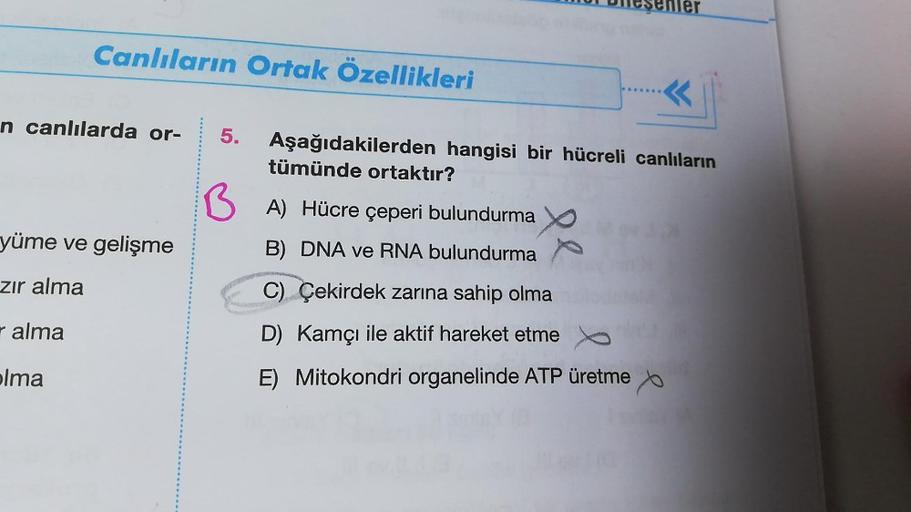 Canlıların Ortak Özellikleri
yüme ve gelişme
zır alma
☛ alma
olma
n canlılarda or- 5. Aşağıdakilerden hangisi bir hücreli canlıların
tümünde ortaktır?
A) Hücre çeperi bulundurma
B) DNA ve RNA bulundurma
meşenler
B
..«
C) Çekirdek zarına sahip olma
D) Kamçı