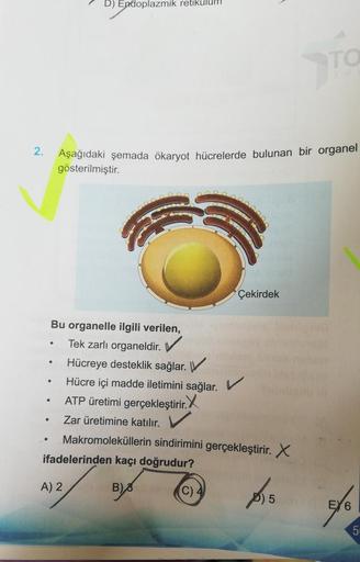 2.
.
·
Bu organelle ilgili verilen,
Tek zarlı organeldir.
✓
Hücreye desteklik sağlar.
Hücre içi madde iletimini sağlar. V
ATP üretimi gerçekleştirir.
Zar üretimine katılır.
Makromoleküllerin sindirimini gerçekleştirir. X
ifadelerinden kaçı doğrudur?
B) 8
.