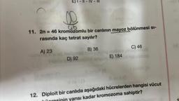 0
11. 2n = 46 kromozomlu bir canlının mayoz bölünmesi si-
rasında kaç tetrat sayılır?
B) 36
A) 23
D) 92
(8
E) 184
C) 46
fauc
ir vid vimos
12. Diploit bir canlıda aşağıdaki hücrelerden hangisi vücut
yarısı kadar kromozoma sahiptir?