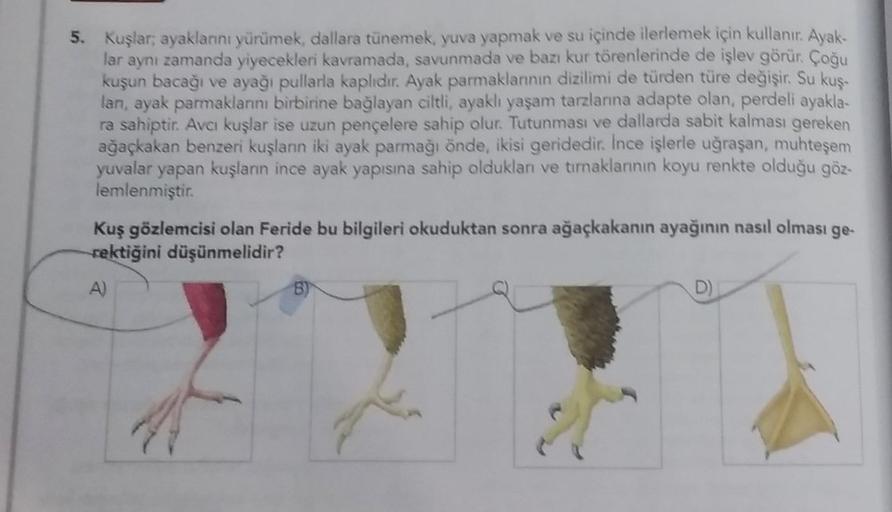 5. Kuşlar, ayaklarını yürümek, dallara tünemek, yuva yapmak ve su içinde ilerlemek için kullanır. Ayak-
lar aynı zamanda yiyecekleri kavramada, savunmada ve bazı kur törenlerinde de işlev görür. Çoğu
kuşun bacağı ve ayağı pullarla kaplıdır. Ayak parmakları