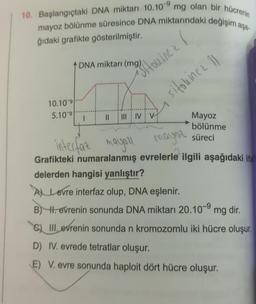 10. Başlangıçtaki DNA miktarı 10.10 mg olan bir hücrenin
mayoz bölünme süresince DNA miktarındaki değişim aşa-
ğıdaki grafikte gösterilmiştir.
10.10 9
5.10 9
DNA miktarı (mg)
1
Sitouinez (
III IV V
sitokinez 11
Mayoz
bölünme
süreci
interfaz mayo21 mayoz
Grafikteki numaralanmış evrelerle ilgili aşağıdaki ifa
delerden hangisi yanlıştır?
A Levre interfaz olup, DNA eşlenir.
B) H. evrenin sonunda DNA miktarı 20.10-9 mg dir.
C) III evrenin sonunda n kromozomlu iki hücre oluşur.
D) IV. evrede tetratlar oluşur.
E) V. evre sonunda haploit dört hücre oluşur.