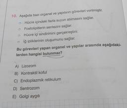 10. Aşağıda bazı organel ve yapıların görevleri verilmiştir.
Hücre içindeki fazla suyun atılmasını sağlar.
Fosfolipitlerin sentezini sağlar.
Hücre içi sindirimini gerçekleştirir.
→ İğ ipliklerinin oluşumunu sağlar.
Bu görevleri yapan organel ve yapılar arasında aşağıdaki-
lerden hangisi bulunmaz?
A) Lizozom
B) Kontraktil koful
C) Endoplazmik retikulum
D) Sentrozom
E) Golgi aygıtı