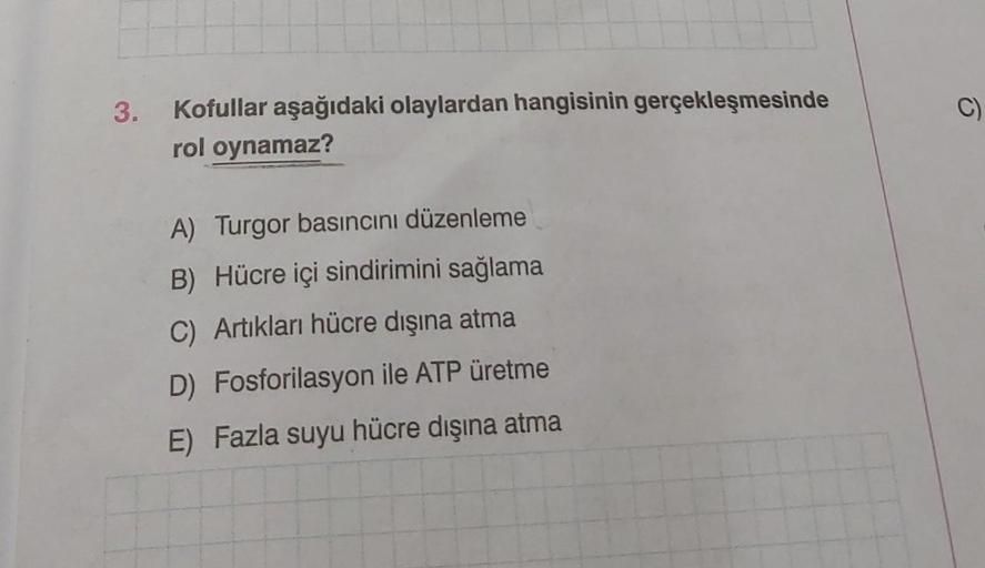 3. Kofullar aşağıdaki olaylardan hangisinin gerçekleşmesinde
rol oynamaz?
A) Turgor basıncını düzenleme
B) Hücre içi sindirimini sağlama
C) Artıkları hücre dışına atma
D) Fosforilasyon ile ATP üretme
E) Fazla suyu hücre dışına atma