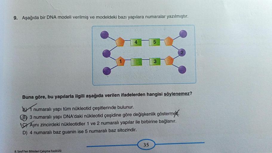 9. Aşağıda bir DNA modeli verilmiş ve modeldeki bazı yapılara numaralar yazılmıştır.
4
8. Sınıf Fen Bilimleri Çalışma Fasikülü
5
Buna göre, bu yapılarla ilgili aşağıda verilen ifadelerden hangisi söylenemez?
1 num
numaralı yapı tüm nükleotid çeşitlerinde b