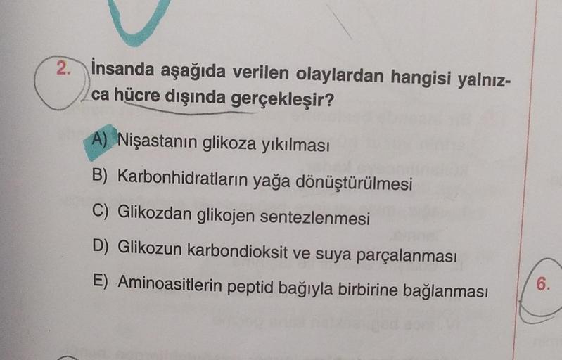 2. İnsanda aşağıda verilen olaylardan hangisi yalnız-
ca hücre dışında gerçekleşir?
A) Nişastanın glikoza yıkılması
B) Karbonhidratların yağa dönüştürülmesi
C) Glikozdan glikojen sentezlenmesi
D) Glikozun karbondioksit ve suya parçalanması
E) Aminoasitleri