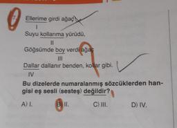 Ellerime girdi ağaç
1
Suyu kollarıma yürüdü,
||
Göğsümde boy verdi ağaç
|||
Dallar dallanır benden, kollar gibi.
IV
Bu dizelerde numaralanmış sözcüklerden han-
gisi eş sesli (sesteş) değildir?
A) I.
C) III.
Bill.
D) IV.