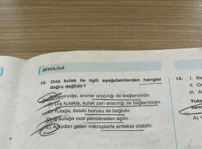 )
BİYOLOJİ
10. Orta kulak ile ilgili aşağıdakilerden hangisi
doğru değildir?
AYBeyinciğe, sinirler aracılığı ile bağlantılıdır.
BY Dış kulakla, kulak zarı aracılığı ile bağlantılıdır.
Yutağa, östaki borusu ile bağlıdır.
Diç kulağa oval pencereden açılır.
E