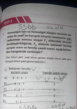 TEST-3
SSDD
SS JJ
1. Homozigot sarı ve homozigot düzgün tohumlu be-
zelye ile yeşil ve buruşuk tohumlu bezelyenin çap-
razlanması sonucu oluşan F, dölündeki bireyler
kendileştirildiğinde, F, dölünde beklenen fenotip
ayrışım oranı ve fenotip çeşidi sayısı, aşağıdakiler-
den hangisinde verilmiştir?
2
(Sarı tohum geni, yeşil tohum genine; düzgün tohum şekli geni,
buruşuk tohum şekli genine baskındır.)
A)
B)
C)
D)
E)
Beklenen fenotip V
ayrışım oranı
9:3:3:1
9:3:1
1:2:1
3:1
1:1
SEDD
Fenotip çeşidi sayısı
V
✓
3
3
2
2
ssdd
d Ad