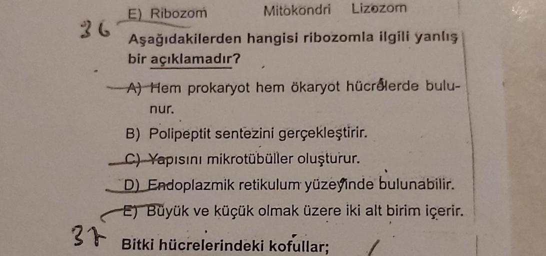 36
E) Ribozom
Aşağıdakilerden
bir açıklamadır?
Mitokondri
Lizozom
hangisi ribozomla ilgili yanlış
A) Hem prokaryot hem ökaryot hücrelerde bulu-
nur.
B) Polipeptit sentezini gerçekleştirir.
C)Yapısını mikrotübüller oluşturur.
D) Endoplazmik retikulum yüzeyi