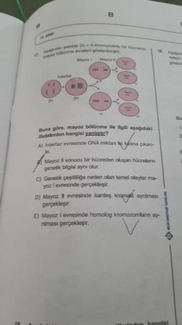 B
Apagidaki şekilde 2n = 4 kromozomlu bir hücrenin
mayoz bölünme evreleri gösterilmiştir.
Mayoz 11
11
Mayoz 1
B
n
Buna göre, mayoz bölünme ile ilgili aşağıdaki
ifadelerden hangisi yanlıştır?
A) Interfaz evresinde DNA miktan ki katına çıkarı-
Jur.
Mayoz II sonucu bir hücreden oluşan hücrelerin
genetik bilgisi aynı olur.
C) Genetik çeşitliliğe neden olan temel olaylar ma-
yoz I evresinde gerçekleşir.
19. Agadada
D) Mayoz evresinde kardeş kromanit ayrılması
gerçekleşir.
E) Mayoz I evresinde homolog kromozomların ay-
nılması gerçekleşir.
YAYINLARI
don hangisi
Bu
L
11