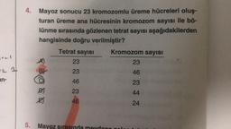 LI
22 21
an-
4. Mayoz sonucu 23 kromozomlu üreme hücreleri oluş-
turan üreme ana hücresinin kromozom sayısı ile bö-
lünme sırasında gözlenen tetrat sayısı aşağıdakilerden
hangisinde doğru verilmiştir?
Tetrat sayısI
23
23
46
23
46
A)
B
DJ
2
5. Mayoz sırası
Kromozom sayısı
23
42426
23