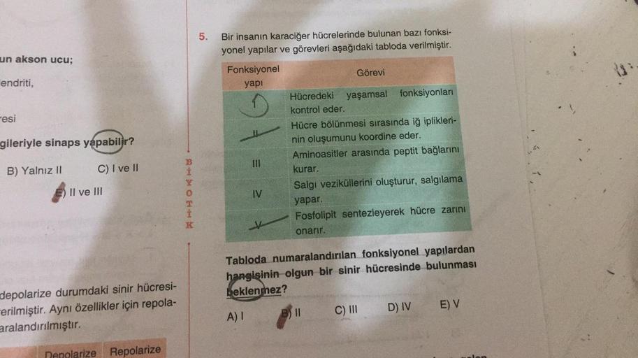 un akson ucu;
endriti,
resi
gileriyle sinaps yapabilir?
B) Yalnız II
C) I ve II
Il ve III
depolarize durumdaki sinir hücresi-
erilmiştir. Aynı özellikler için repola-
aralandırılmıştır.
polarize Repolarize
AHNOHHX
K
5.
Bir insanın karaciğer hücrelerinde bu