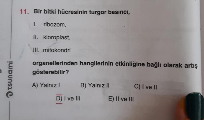 Tsunami
11. Bir bitki hücresinin turgor basıncı,
I. ribozom,
II. kloroplast,
III. mitokondri
organellerinden hangilerinin etkinliğine bağlı olarak artış
gösterebilir?
A) Yalnız I
D) I ve III
B) Yalnız II
E) II ve III
C) I ve II