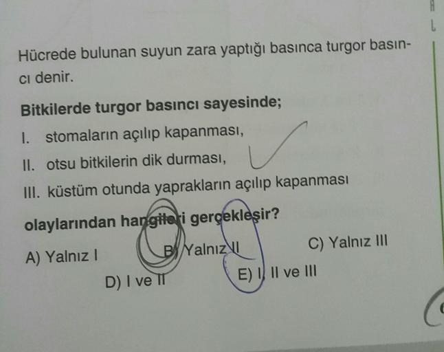 Hücrede bulunan suyun zara yaptığı basınca turgor b… Biyoloji Hücrede bulunan suyun zara yaptığı basınca turgor b… Biyoloji