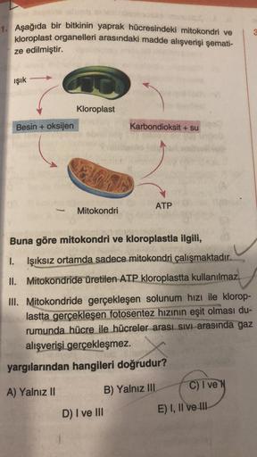 1. Aşağıda bir bitkinin yaprak hücresindeki mitokondri ve
kloroplast organelleri arasındaki madde alışverişi şemati-
ze edilmiştir.
ışık
Besin + oksijen
Kloroplast
Mitokondri
Karbondioksit + su
D) I ve III
ATP
Buna göre mitokondri ve kloroplastla ilgili,
I