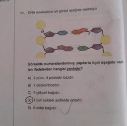 11. DNA molekülüne ait görsel aşağıda verilmiştir.
7
3
2
5
Görselde numaralandırılmış yapılarla ilgili aşağıda veri-
len ifadelerden hangisi yanlıştır?
A) 2 pürin, 4 pirimidin bazdır.
B) 7 deoksiribozdur.
C) 5 glikozit bağıdır.
D))1 tüm nükleik asitlerde ortaktır.
E) 6 ester bağıdır.