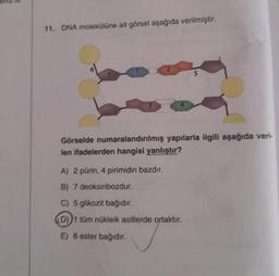 11. DNA molekülüne ait görsel aşağıda verilmiştir.
7
3
2
5
Görselde numaralandırılmış yapılarla ilgili aşağıda veri-
len ifadelerden hangisi yanlıştır?
A) 2 pürin, 4 pirimidin bazdır.
B) 7 deoksiribozdur.
C) 5 glikozit bağıdır.
D))1 tüm nükleik asitlerde ortaktır.
E) 6 ester bağıdır.