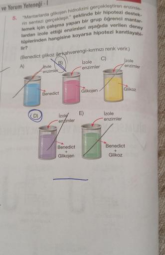 ve Yorum Yeteneği - I
5. "Mantarlarda glikojen hidrolizini gerçekleştiren enzimle-
rin sentezi gerçekleşir." şeklinde bir hipotezi destek-
lemek için çalışma yapan bir grup öğrenci mantar-
lardan izole ettiği enzimleri aşağıda verilen deney
tüplerinden han