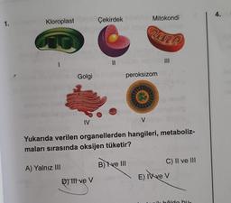 1.
Kloroplast
1
Com
A) Yalnız III
Med
Golgi
IV
Çekirdek
D) Itt ve V
Mitokondi
RUMP
peroksizom
V
Yukarıda verilen organellerden hangileri, metaboliz-
maları sırasında oksijen tüketir?
B) ve III
|||
C) II ve III
E) Ive V
ik hâlde bus
4.