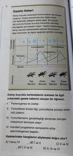 3.
Gazete Haberi
Kamçı kuyruklu kertenkele türünü sadece dişi bireyler
oluşturur. Üreme mevsiminde bazı dişiler erkek
rolü üstlenerek çiftleşme taklidi yapar. Bu sayede
dişi yumurta hücresi ile kutup hücresinin çekirdeği
kaynaşarak yeni bireyler oluşur. Ya