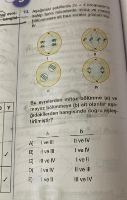 faz evre-
hangisi
DY
10. Aşağıdaki şekillerde 2n = 4 kromozoma
sahip farklı hücrelerde mitoz ve mayoż
bölünmelere ait bazı evreler gösterilmiş-
tir.
1
8888
******
8888)
ed.
11
IV
Bu evrelerden mitoz bölünme (a) ve
mayoz bölünmeye (b) ait olanlar aşa-
ğıdakilerden hangisinde doğru eşleş-
tirilmiştir?
Il ve IV
I ve IV
I ve II
Il ve III
III ve IV
a
A)
I ve III
B)
Il ve III
C)
IIl ve IV
D)
I ve IV
E)
I vell
omnes Clitorim inteeyoud btidni