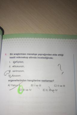 6. Bir araştırmacı menekşe yaprağından elde ettiği
kesiti mikroskop altında incelediğinde;
I. klofoplast,
II. vnitokondri,
sentrozom,
HI.
el.
Vizozom
organellerinden hangilerine rastlamaz?
A) Yalnız
B) I've III
D) Il ve IV
C) II ve III
E) II, III ve IV