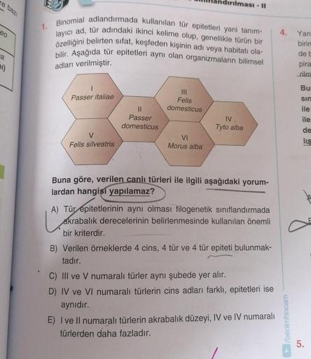 re bazı
eo
a
1)
1.
Binomial adlandırmada kullanılan tür epitetleri yani tanım-
layıcı ad, tür adındaki ikinci kelime olup, genellikle türün bir
özelliğini belirten sifat, keşfeden kişinin adı veya habitatı ola-
bilir. Aşağıda tür epitetleri aynı olan organ