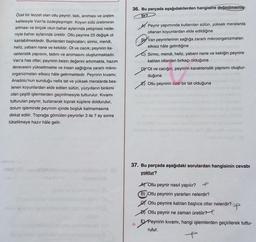 Özel bir lezzet olan otlu peynir; tadı, aroması ve üretim
kalitesiyle Van'la özdeşleşmiştir. Koyun sütü üretiminin
artması ve birçok otun bahar aylarında yetişmesi nede-
niyle bahar aylarında üretilir. Otlu peynire 25 değişik ot
katılabilmektedir. Bunlardan başlıcaları; sirmo, mendi,
heliz, yabani nane ve kekiktir. Ot ve cacık; peynirin ka-
rakteristik yapısını, tadını ve aromasını oluşturmaktadır.
Van'a has otlar; peynirin besin değerini artırmakta, hazım
derecesini yükseltmekte ve insan sağlığına zararlı mikro-
organizmaları etkisiz hâle getirmektedir. Peynirin kıvamı;
Anadolu'nun sunduğu nefis tat ve yüksek meralarda bes-
lenen koyunlardan elde edilen sütün, yüzyılların birikimi
olan çeşitli işlemlerden geçirilmesiyle tutturulur. Kıvamı
tutturulan peynir, tuzlanarak toprak küplere doldurulur,
dolum işleminde peynirin içinde boşluk kalmamasına
dikkat edilir. Toprağa gömülen peynirler 3 ile 7 ay sonra
tüketilmeye hazır hâle gelir.
NGHUNO nu
shine!
21826 1737=
36. Bu parçada aşağıdakilerden hangisine değinilmemiş-
tir?
4)
Peynir yapımında kullanılan sütün, yüksek meralarda
otlanan koyunlardan elde edildiğine
BVan peynirlerinin sağlığa zararlı mikroorganizmaları
etkisiz hâle getirdiğine
Sirmo, mendi, heliz, yabani nane ve kekiğin peynire
katılan otlardan birkaçı olduğuna
DY Ot ve cacığın, peynirin karakteristik yapısını oluştur-
duğuna
Otlu peynirin özel bir tat olduğuna
37. Bu parçada aşağıdaki sorulardan hangisinin cevabı
yoktur?
A Otlu peynir nasıl yapılır?
f
B) Otlu peynirin yararları nelerdir?
Otlu peynire katılan başlıca otlar nelerdir?
Otlu peynir ne zaman üretilir?
E Peynirin kıvamı, hangi işlemlerden geçirilerek tuttu-
rulur.
p