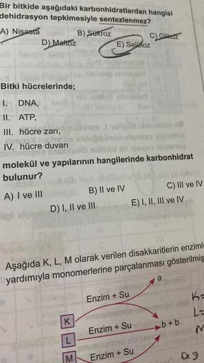 Bir bitkide aşağıdaki karbonhidratlardan hangisi
dehidrasyon tepkimesiyle sentezlenmez?
A) Nisasta
B) Sükroz
D) Maltoz
Bitki hücrelerinde;
I. DNA, lov
II. ATP,
III. hücre zarı,
IV. hücre duvarı
D) I, II ve III
K
E) Selüloz
Jovilidon
xolislep sbr
L
M
nabino