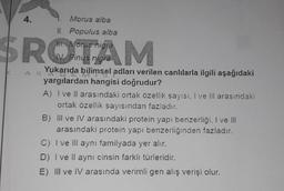 Morus alba
II. Populus alba
Morus nigra
SROTAM
Pinus nigra
4.
Yukarıda bilimsel adları verilen canlılarla ilgili aşağıdaki
yargılardan hangisi doğrudur?
A) I ve II arasındaki ortak özellik sayısı, I ve III arasındaki
ortak özellik sayısından fazladır.
B) III ve IV arasındaki protein yapı benzerliği, I ve III
arasındaki protein yapı benzerliğinden fazladır.
C) I ve III aynı familyada yer alır.
D) I ve Il aynı cinsin farklı türleridir.
E) III ve IV arasında verimli gen alış verişi olur.