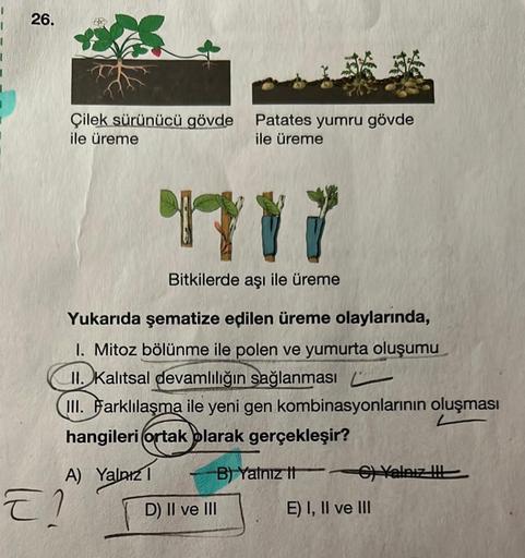 26.
Çilek sürünücü gövde
ile üreme
Bitkilerde aşı ile üreme
Yukarıda şematize edilen üreme olaylarında,
1. Mitoz bölünme ile polen ve yumurta oluşumu
II. Kalıtsal devamlılığın sağlanması
III. Farklılaşma ile yeni gen kombinasyonlarının oluşması
hangileri (