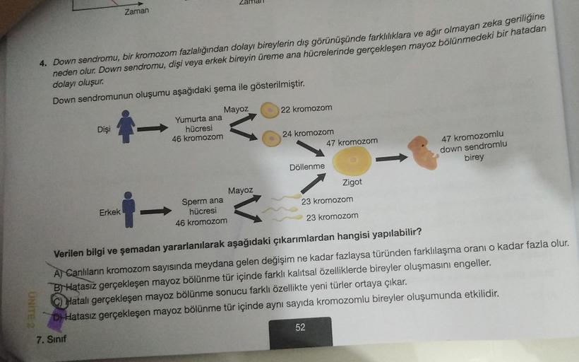 UNITE 2
4. Down sendromu, bir kromozom fazlalığından dolayı bireylerin dış görünüşünde farklılıklara ve ağır olmayan zeka geriliğine
neden olur. Down sendromu, dişi veya erkek bireyin üreme ana hücrelerinde gerçekleşen mayoz bölünmedeki bir hatadan
dolayı