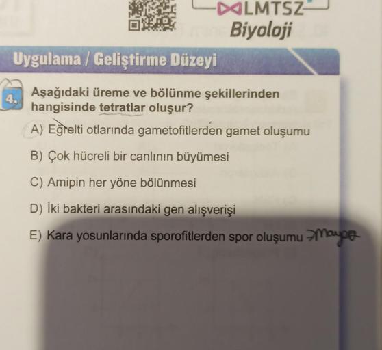 LMTSZ
Biyoloji
Uygulama / Geliştirme Düzeyi
Aşağıdaki üreme ve bölünme şekillerinden
hangisinde tetratlar oluşur?
A) Eğrelti otlarında gametofitlerden gamet oluşumu
B) Çok hücreli bir canlının büyümesi
C) Amipin her yöne bölünmesi
D) İki bakteri arasındaki