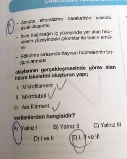 Amipte sitoplazma hareketiyle yalancı
ayak oluşumu
- ince bağırsağın iç yüzeyinde yer alan hüc-
relerin yüzeyindeki çıkıntılar ile besin emili-
mi
Bölünme sırasında hayvan hücrelerinin bo-
ğumlanması
olaylarının gerçekleşmesinde görev alan
hücre iskeletini oluşturan yapı;
1. Mikrofilament
II. Mikrotübül
III. Ara filament ✓
verilenlerden hangisidir?
(A) Yalnız I
B) Yalnız II
D) I ve II
C) Yalnız III
(E) I, II ve III