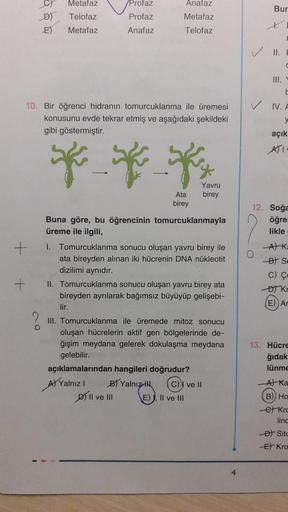 CY Metafaz
D) Telofaz
E) Metafaz
Profaz
Profaz
Anafaz
10. Bir öğrenci hidranın tomurcuklanma ile üremesi
konusunu evde tekrar etmiş ve aşağıdaki şekildeki
gibi göstermiştir.
* * *
birey
Ata
birey
Anafaz
Metafaz
Telofaz
Buna göre, bu öğrencinin tomurcuklanm