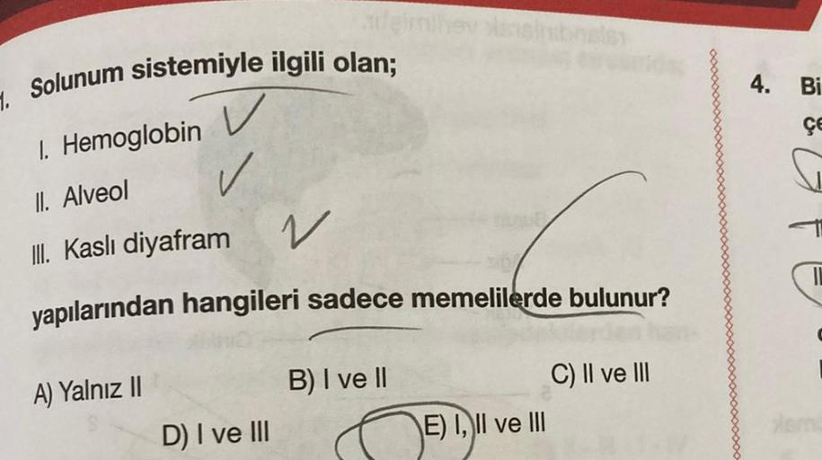 . Solunum sistemiyle ilgili olan;
v
1. Hemoglobin
II. Alveol
III. Kaslı diyafram
2
yapılarından hangileri sadece memelilerde bulunur?
A) Yalnız II
D) I ve III
B) I ve II
bnetsi
E) I, II ve III
C) II ve III
4. Bi
çe
11